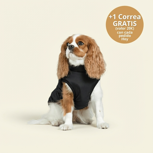 Vinya Chaqueta Aventura 2-en-1